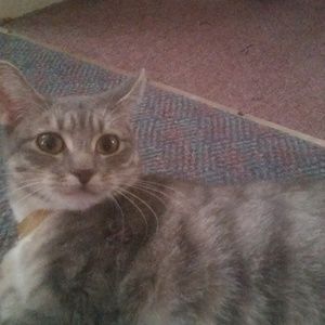 Meet your Posher, Annette